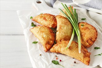 Fried chebureks, close-up, on a light background, no people