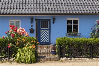 House, front door, hedge, flowers, Wustrow, Darß, Mecklenburg-Vorpommern, Germany, Europe