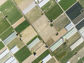 Cultivated fields in the semi rural district of La Algaida next to Sanlúcar de Barrameda. Aerial