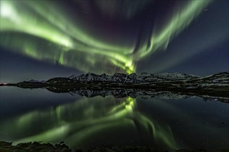 Yellow and green northern lights reflected in fjord, steep mountains, aurora borealis, winter,