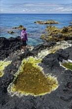 A hiker with a pink rucksack stands on a rocky shore looking out to the blue sea, Natural thermal