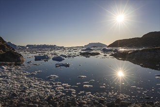 Icebergs and ice floes reflected in the water, summer, midnight sun, Jakobshavn glacier and ice