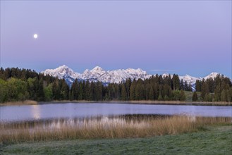 Hegratsrieder See near Füssen, Allgäu Alps, snow, moon, dawn, Allgäu, Bavaria, Germany, Europe