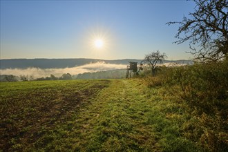 Sunny morning over a meadow with trees and hunting pulpit, fog, quiet and peaceful atmosphere,