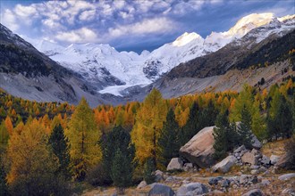 Autumn-coloured valley at dawn, Morteratsch, Engadin, Canton Graubünden, Switzerland, Europe