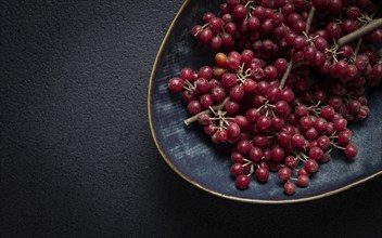 Shtoshi berry, Shepherd's pie, a hybrid of sea buckthorn and barberry, top view, no people