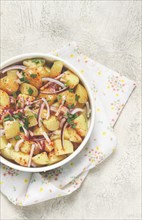 Boiled potato salad with red onion, German cuisine, homemade, no people