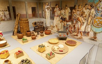 Display of Aztec foods and market, archaeological site and museum of Templo Mayor, Mexico City,