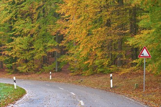 Winding road through an autumnal forest with colourful leaves and a roadside sign, Spessart,