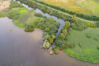 Aerial view of Lake Dümmer, nature reserve, reeds, shore, Hüde, Lower Saxony, Germany, Europe