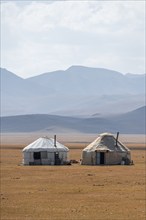 Yurts in the highlands, Naryn region, Kyrgyzstan, Asia