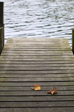 First autumn leaves, jetty at a lake, Germany, Europe