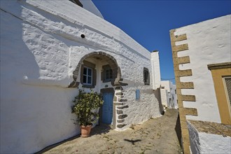 White buildings with a blue Tor tor and a plant along a narrow street, Chora, main town Patmos,