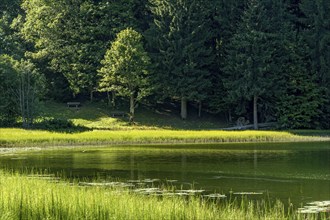 Spitzingsee with lake trail, hiking trail around the mountain lake with pond horsetail, water