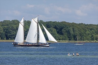 Sailing ship Pegasus, people in the water, Kieler Woche, Kiel Fjord, Kiel, Schleswig-Holstein,