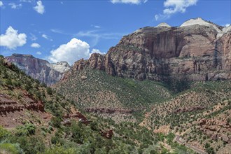 Zion Park Boulevard running through Zion Canyon along the Zion Park Boulevard in Zion National