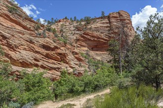 Patterns of erosion on the rocky mountainside in Zion National Park, Utah