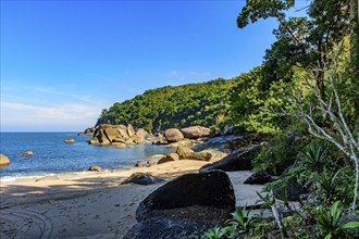 Forest, hill, rocks and sea of Indaiauba beach in Ilhabela island coast os Sao Paulo, Indaiauba