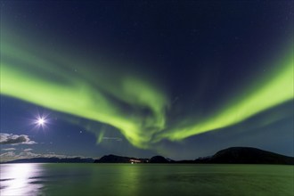 Northern Lights, (Aurora borealis) at a fjord near Skjiervoya, September 2024, Lapland, Finnmark,