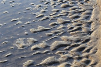 Baltic Sea beach, Usedom, Mecklenburg-Western Pomerania, Germany, Europe