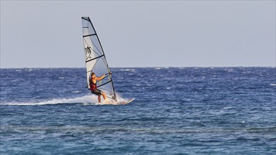 A windsurfer with a stylish sail glides over the sea surface, windsurfer, Meltemi windsurfing spot,