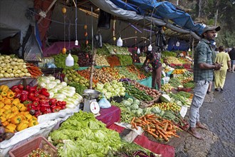 Vegetable stall in Nuwara Eliya, Central Province, Sri Lanka, Asia