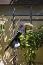 Garden Hotel and Restaurant Schloss Haigerloch, craftsmanship, small sculpture, bird, replica,