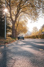 Road in autumn with trees, sunlight and leaves, electric car VW ID5, Deer Carsharing, Gechingen,