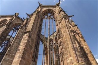 The ruins of the Gothic Werner Chapel in Bacharach, World Heritage Upper Middle Rhine Valley,