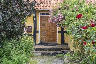 Entrance with flowers to half-timbered yellow house in Gudhjem, Bornholm, Baltic Sea, Denmark,