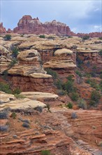 Impressive red rock formations in a dry canyon landscape under a slightly cloudy sky, Canyonlands