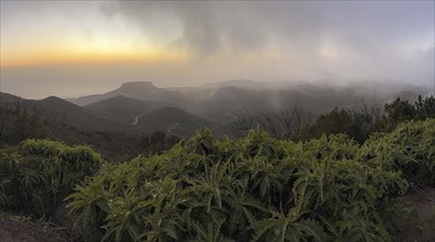 Sunset, view from the mountain Alto de Garajonay, Garajonay National Park, La Gomera, Canary