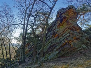 The Dörenther Cliffs, boulders and trees rooted into the rock, in the UNESCO Geopark TERRA vita in