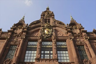 University Library, Heidelberg, Baden-Württemberg, Germany, Europe