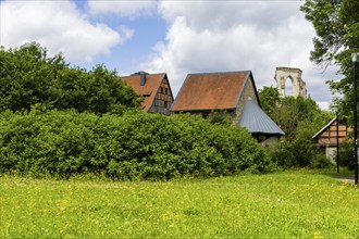 Walkenried Abbey is a former Cistercian abbey in Walkenried, situated on the southern edge of the