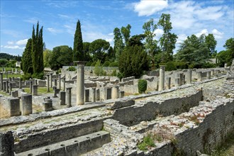 Vaison-la-Romaine. Archaeological site of La Villasse. Vaucluse. Provence-Alpes-Côte d'Azur. France