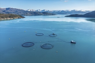 Aerial view over salmon farm in the Hardangerfjord, swimming cages, ferry in the back,