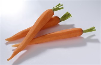 3 carrot (Daucus carota), on white background, studio shot