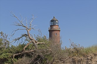 Lighthouse, beach, dead tree, break-off edge, Darßer Ort, Born a. Darß, Mecklenburg-Vorpommern,