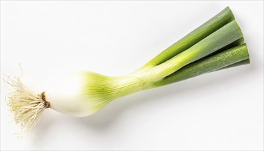 Vegetable, spring onion or spring onion, also known as winter onion, Allium fistulosum