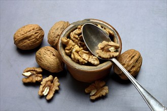 Walnut, walnuts in pots with spoon, Juglans regia