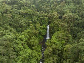 Aerial view, waterfall in the rainforest, Catarata de la Paz, La Paz Waterfall Gardens Nature Park,