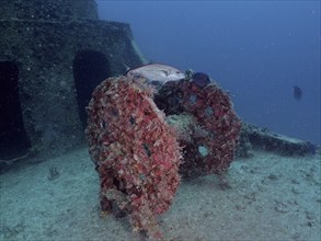 An abandoned underwater wreck covered in marine life with a fish swimming by. Winch on the wreck of