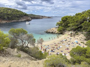 Beach full of people with parasols at the bay of Cala Saladeta with turquoise-coloured water,