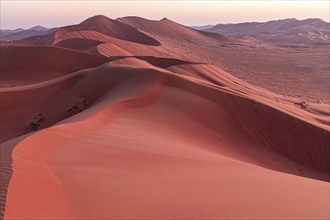 Wind-sculpted sand dunes at sunrise in the Rub al Khali desert, Dhofar province, Arabian Peninsula,