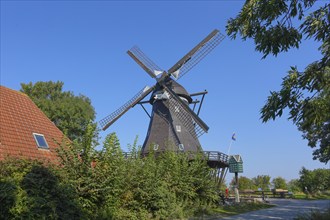 Old windmill, mill museum in Lemkenhafen, Fehmarn Island, Baltic Sea island, Ostholstein district,