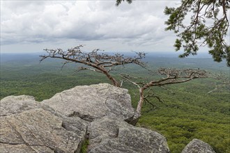 Overlook along the Pulpit Rock Trail in Cheaha State Park, Alabama, USA, North America