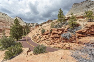 Patterns of erosion on the rocky mountainside along the Zion Park Boulevard in Zion National Park,