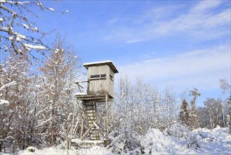 Hunter's hide, hunting hide in a snowy winter forest, Siegerland, North Rhine-Westphalia, Germany,