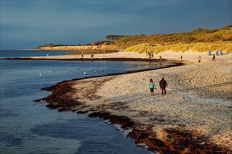 Baltic Sea beach, walkers on the Baltic Sea coast on Wustrow beach in the evening light, evening